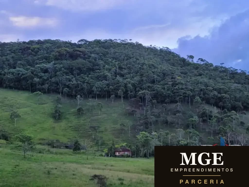 Fazenda Para Venda Em ConservatóRia (Distrito)