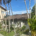 Imagem do WhatsApp de 2025-02-11 à(s) 15.59.18-e96b9a88