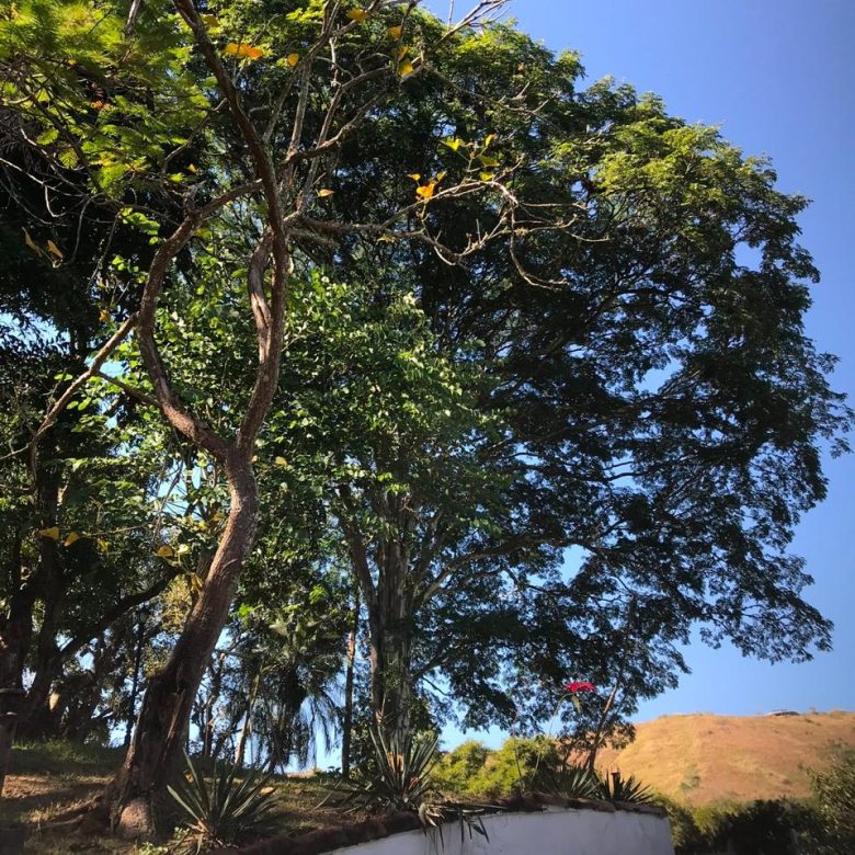 No Centro de vassouras, casa com 6 quartos e 10 vagas - 10100m2 de área - vassouras 10000 metros no centro da cidade (12)