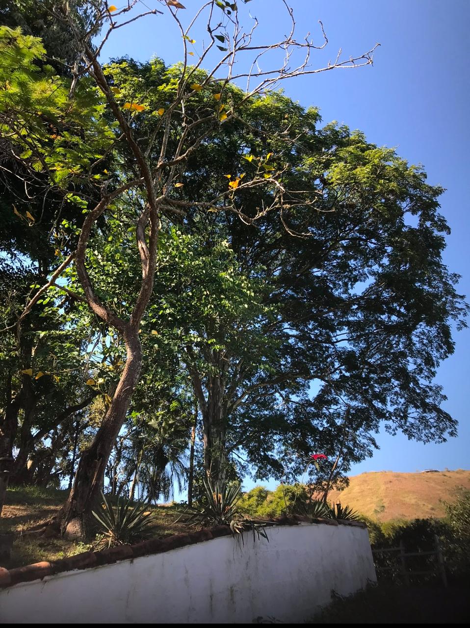 %%imagetitle% – No Centro de vassouras, casa com 6 quartos e 10 vagas – 10100m2 de área No Centro de vassouras, casa com 6 quartos e 10 vagas - 10100m2 de área - vassouras 10000 metros no centro da cidade (12)