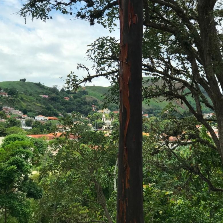 No Centro de vassouras, casa com 6 quartos e 10 vagas - 10100m2 de área - vassouras 10000 metros no centro da cidade (7)