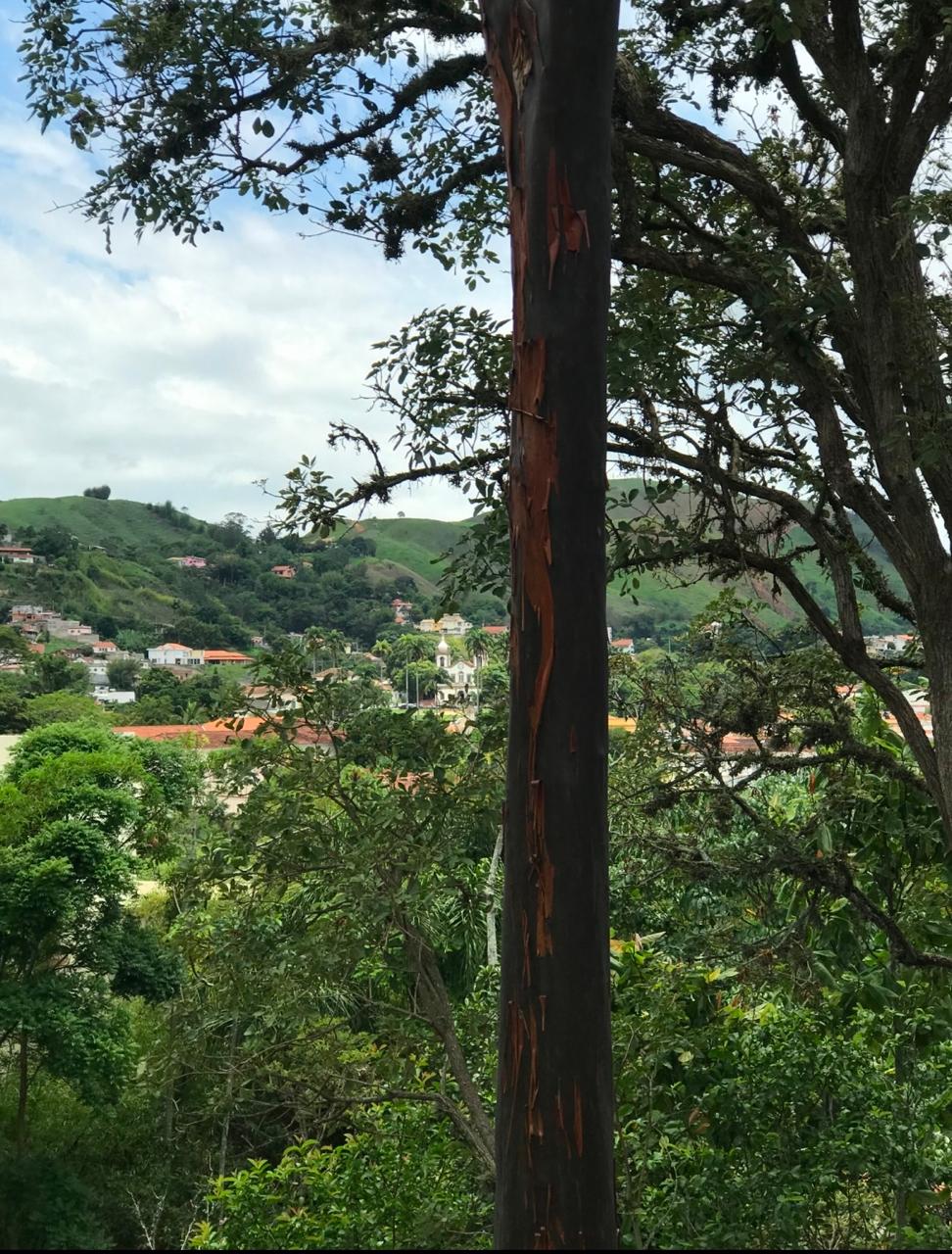 %%imagetitle% – No Centro de vassouras, casa com 6 quartos e 10 vagas – 10100m2 de área No Centro de vassouras, casa com 6 quartos e 10 vagas - 10100m2 de área - vassouras 10000 metros no centro da cidade (7)