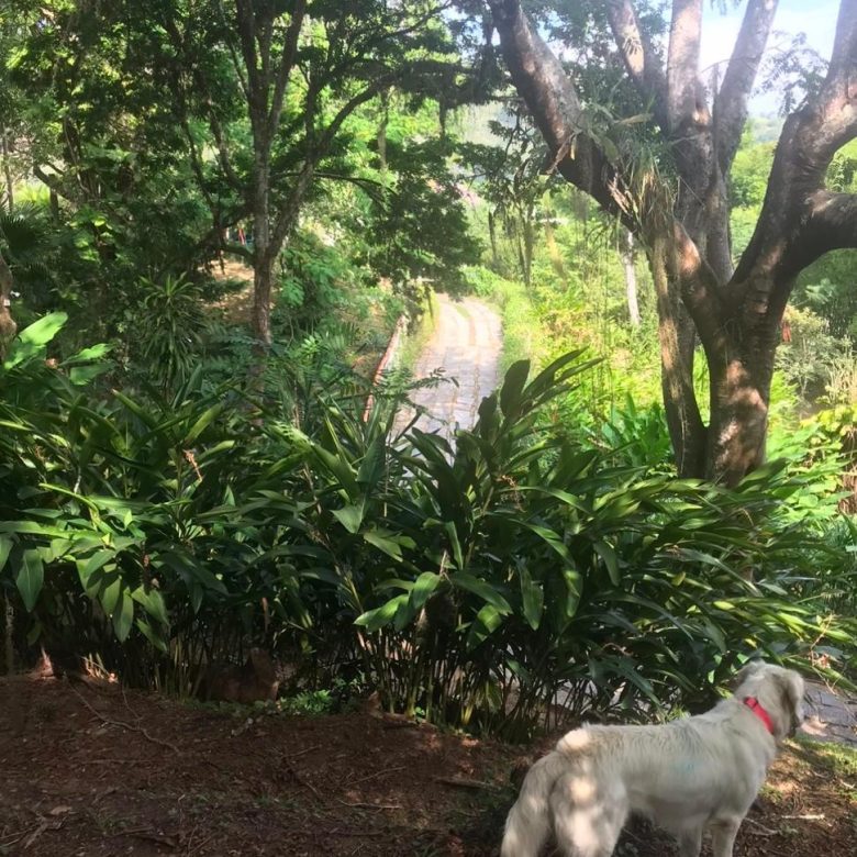 No Centro de vassouras, casa com 6 quartos e 10 vagas - 10100m2 de área - vassouras 10000 metros no centro da cidade (9)