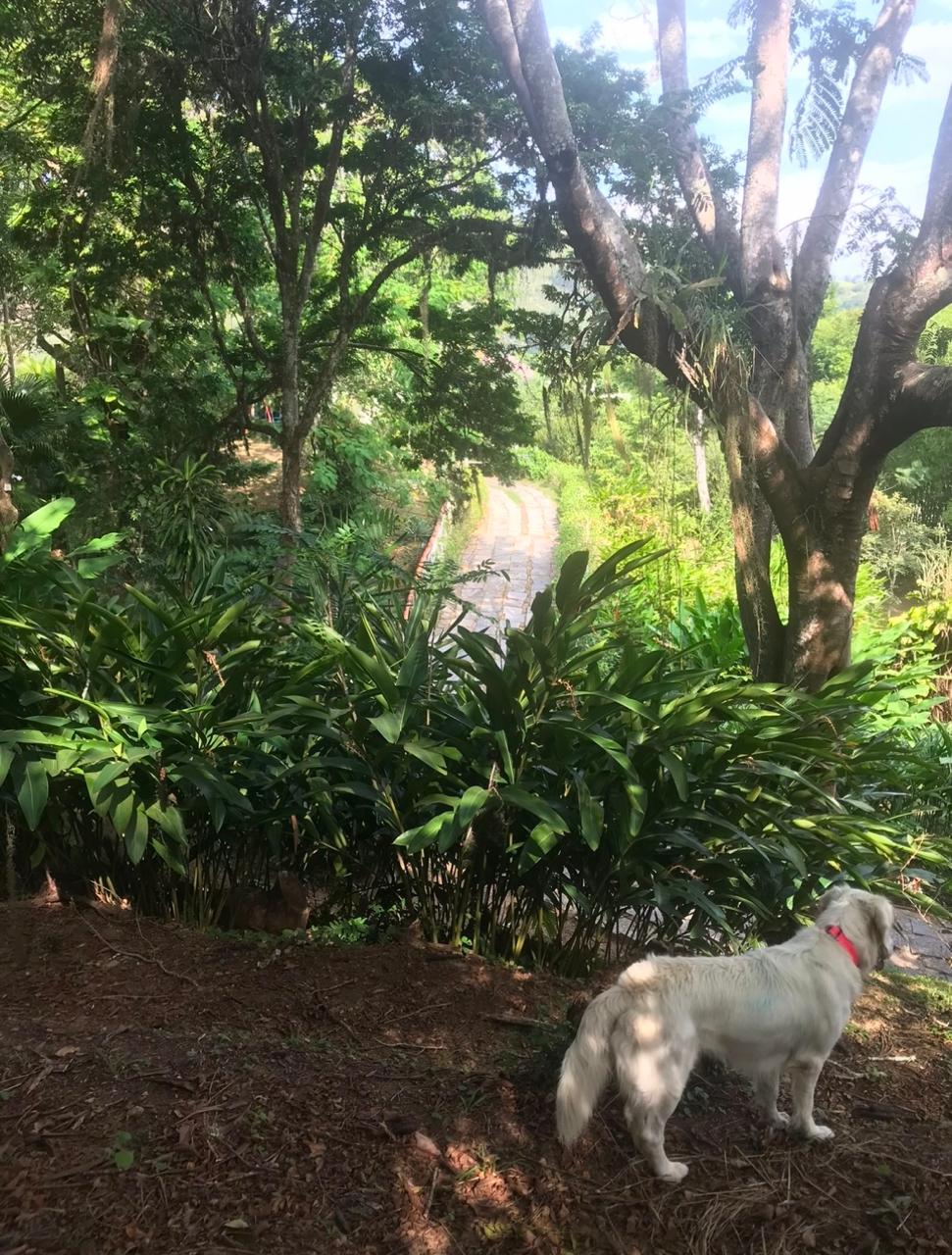 %%imagetitle% – No Centro de vassouras, casa com 6 quartos e 10 vagas – 10100m2 de área No Centro de vassouras, casa com 6 quartos e 10 vagas - 10100m2 de área - vassouras 10000 metros no centro da cidade (9)